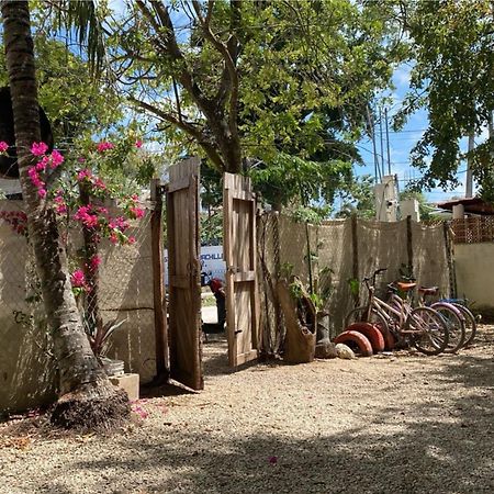 Hotel Selva Bacalar - Free Bike Rental Eksteriør bilde
