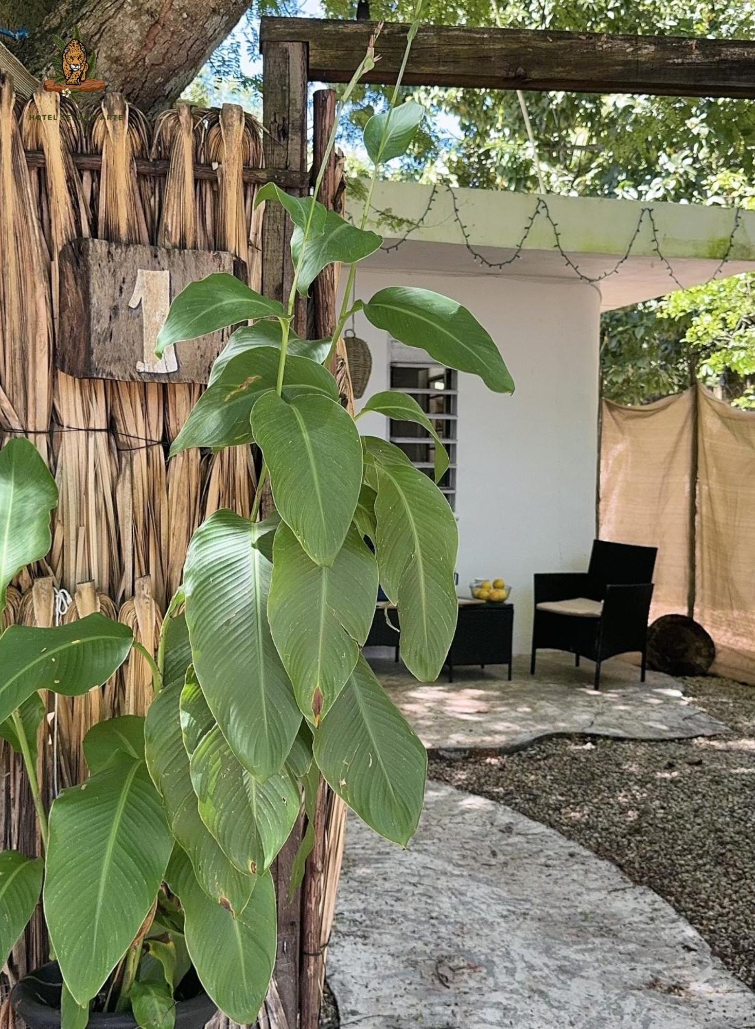 Hotel Selva Bacalar - Free Bike Rental Eksteriør bilde