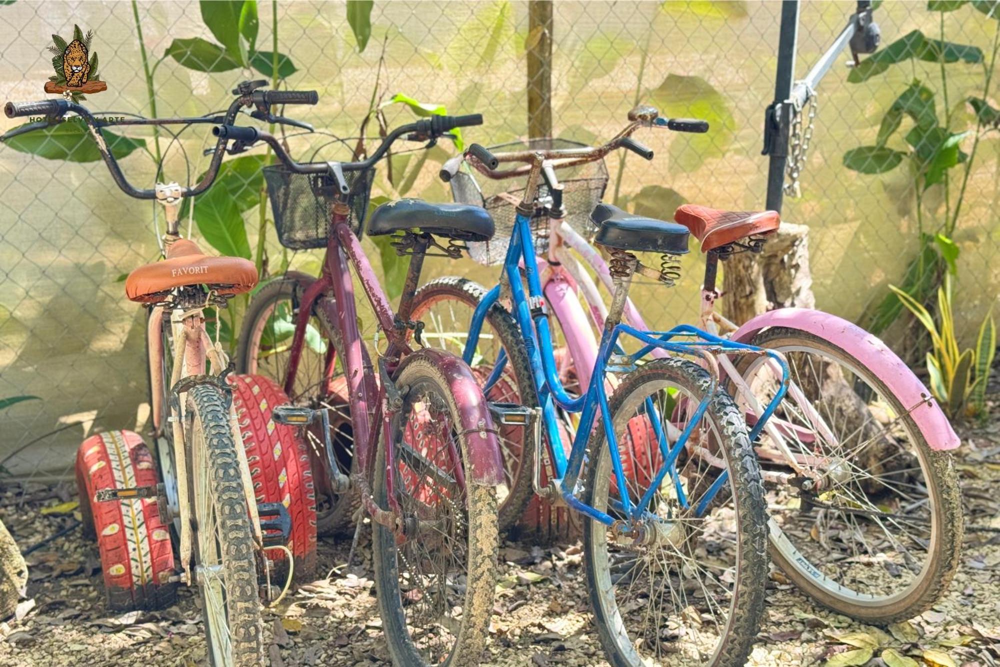 Hotel Selva Bacalar - Free Bike Rental Eksteriør bilde