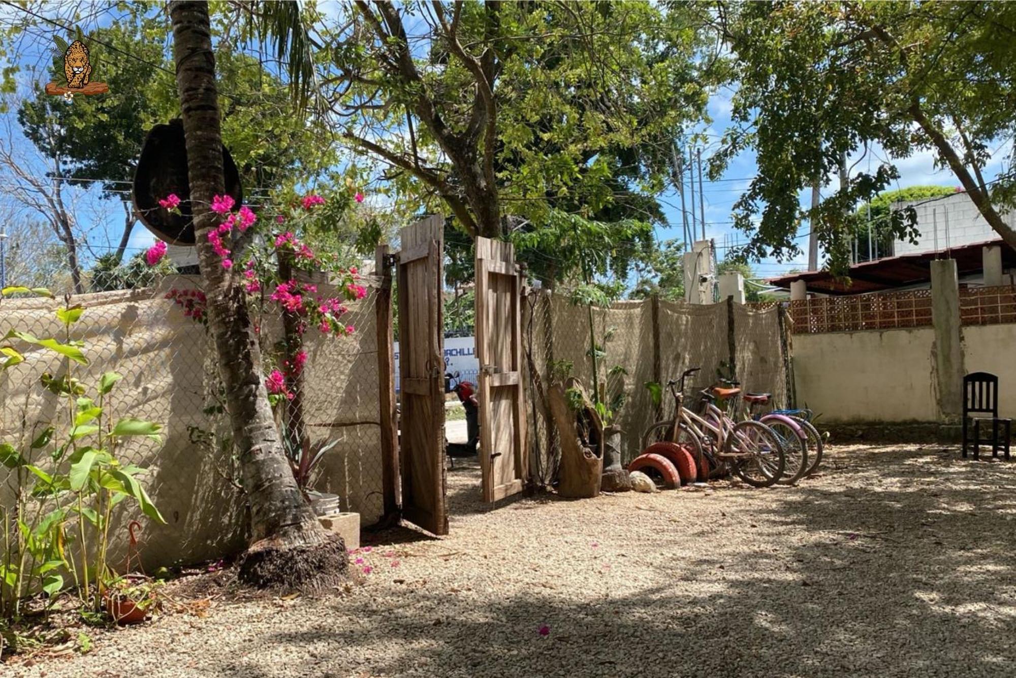 Hotel Selva Bacalar - Free Bike Rental Eksteriør bilde